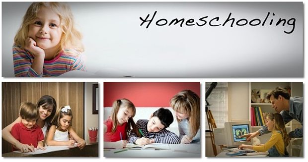 Homeschooling essay pros and cons
