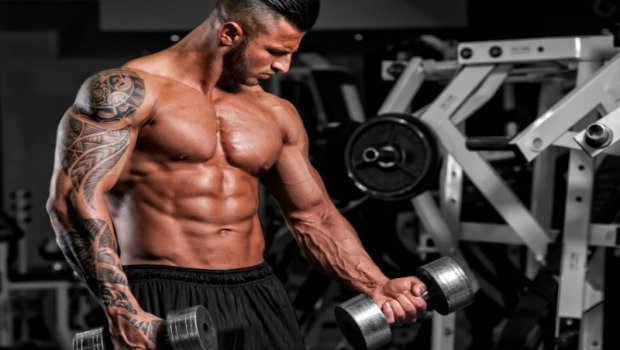 Home Program Training Weight Download Free Apps Arashura