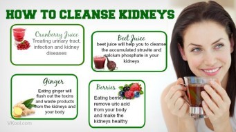 How to cleanse kidneys fast and naturally – 15 tips