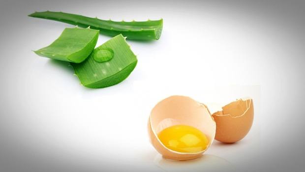 Image result for Egg and Aloe Vera