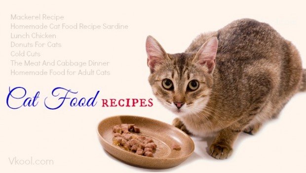 Homemade Cat Food Recipes For Diabetic Cats Homemade Ftempo