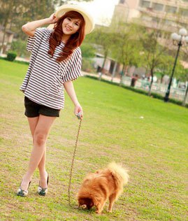 Doggy Dan online dog trainer real user reviews