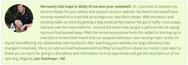 Testimonial for Doggy Dan online dog trainer