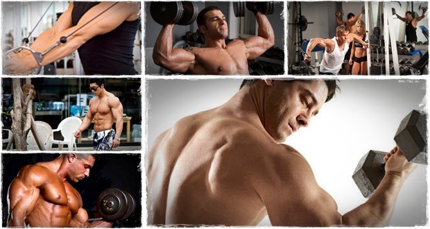 muscle building workout review
