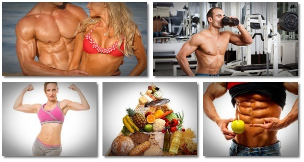 diet for bodybuilding in summer renegade diet