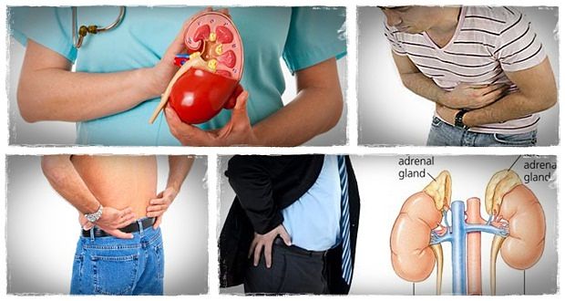 all natural kidney health and kidney function restoration