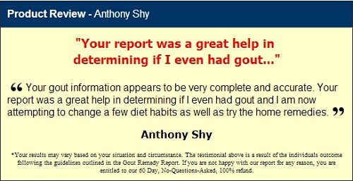 the gout remedy report system
