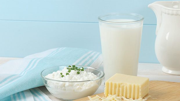 Dairy foods contain milk