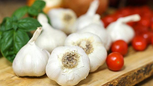 Garlic download