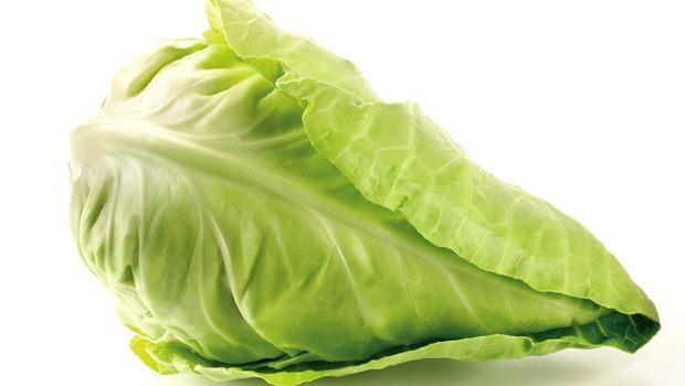 home remedies for vitiligo - cabbage