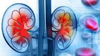 kidney health tips system