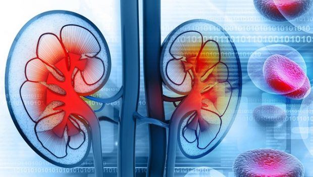 kidney health tips system