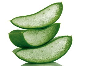 natural treatments for psoriasis with apply aloe vera