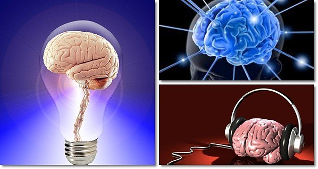 brain improvement tips review