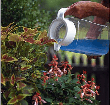 home gardening tips hindi