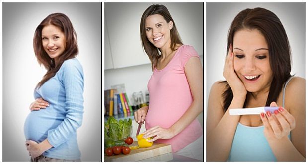 how to increase chances of getting pregnant pdf ivf success program