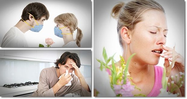 how to prevent allergies guide