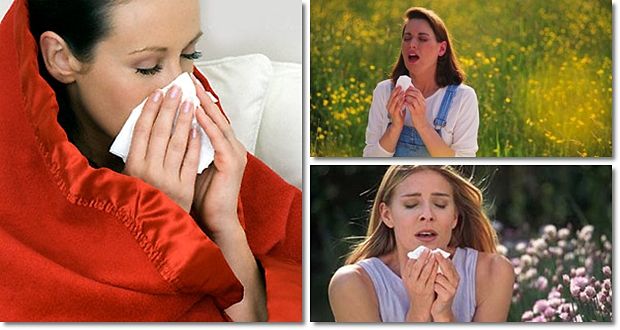 how to prevent allergies review