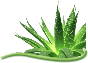 benefits of aloe vera juice