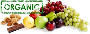 benefits of organic food consumption on physical, cognitive development and more