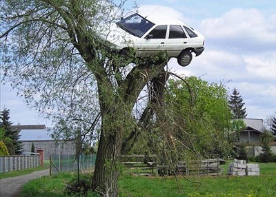 pay high attention to poles and trees while driving or turning