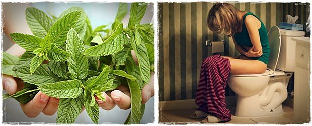 benefits of peppermint oil constipation