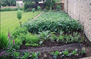 how to plan a garden from scratch