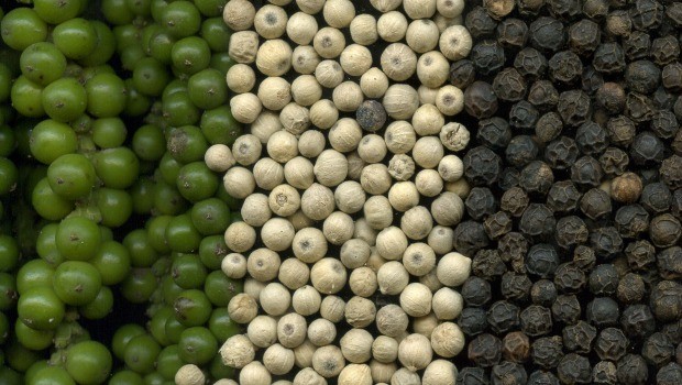 the differences between black pepper and white pepper download