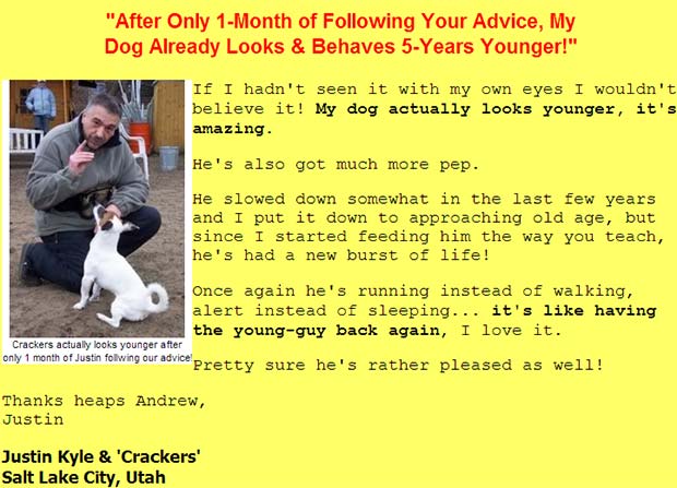 Dog food secrets user success-stories