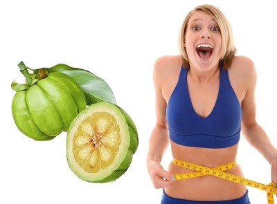 herbs to lose weight with garcinia cambogia