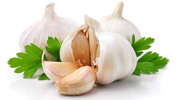 home remedies for head lice - garlic