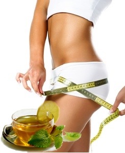 herbs to lose weight with green tea