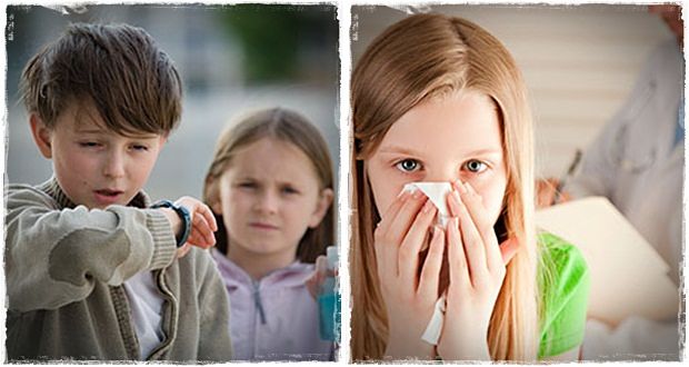home remedies for allergies with natural and safe remedies for seasonal allergy