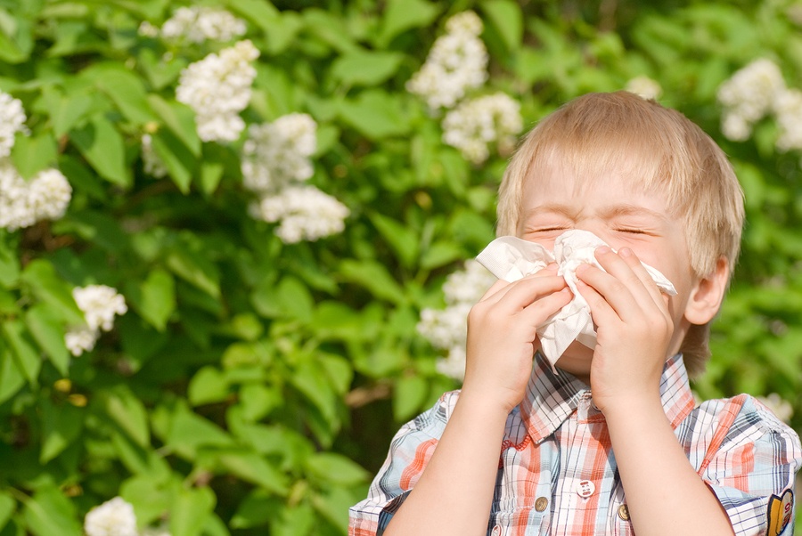 Natural home remedies for allergies in babies & toddlers