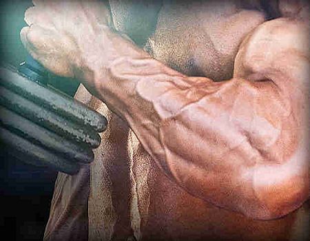 how to get bigger forearms review