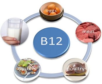 nutrition for older adults is vitamin B12