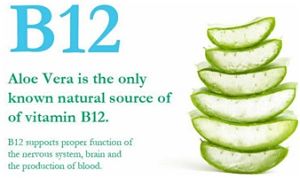 vitamins for women is vitamin B12