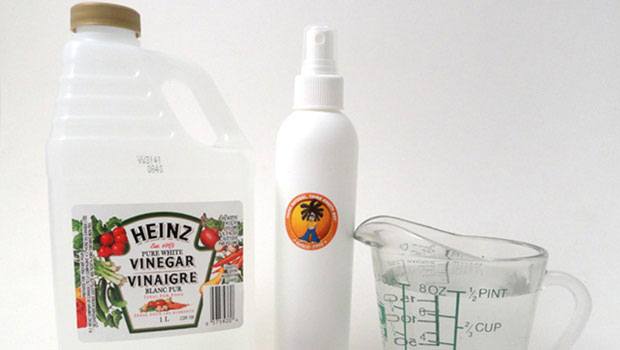 home remedies for head lice - white vinegar