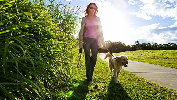 Go Along With A Pet When Taking A Walk