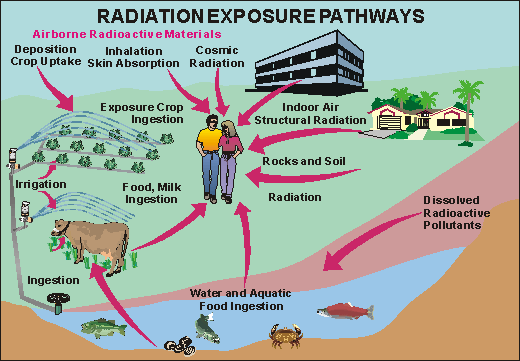 exposure to ionizing radiation review