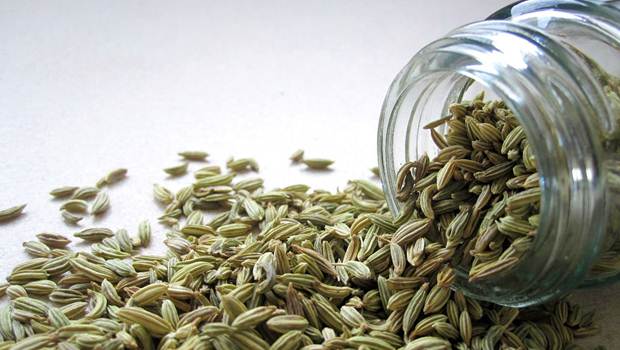 how to treat heartburn - fennel seeds