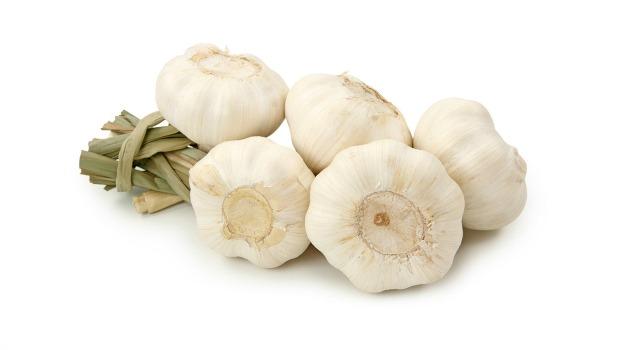 garlic review