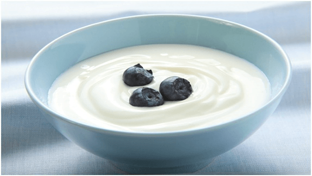 greek yogurt review
