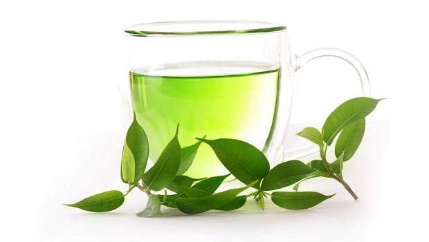 green tea review