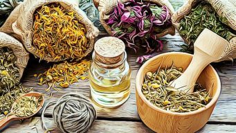 herbs for depression and anxiety