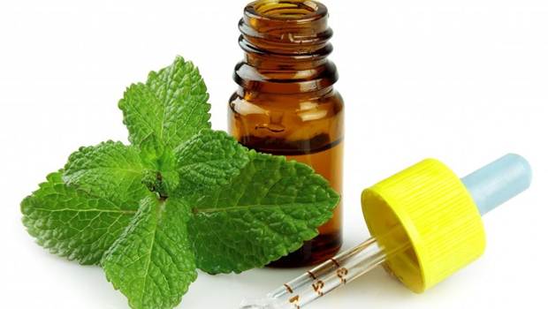 how to treat heartburn - peppermint