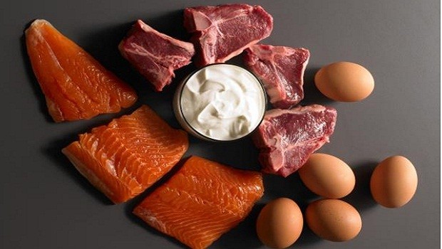 protein review
