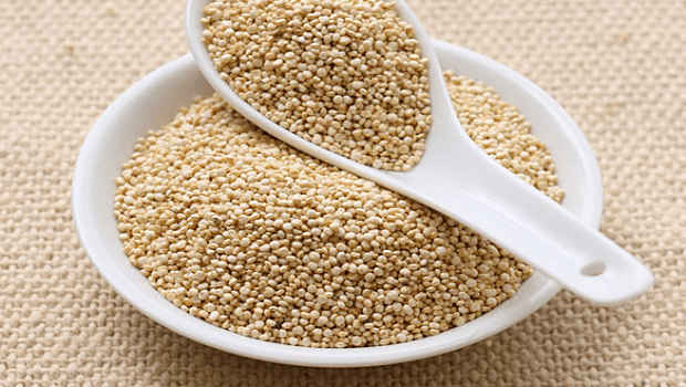 quinoa review