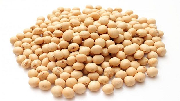 soy protein review