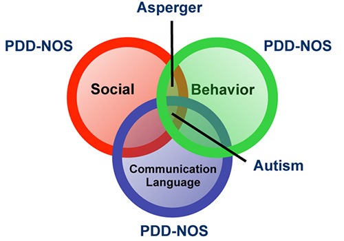 What Is Autism Spectrum Disorder? – Types